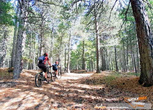 Etna MTB Tour_EXTREME - © Sicily Bike Tourist Service 05