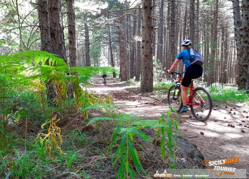 Etna Mountain Bike Excursion - © Sicily Bike Tourist Service 04