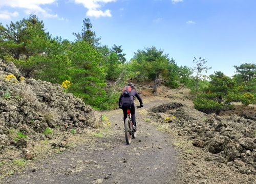 Esperienze Mountain Biking - Etna Mountain Bike Tour - © Sicily Bike Tourist Service 06