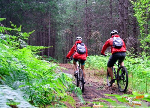 Esperienze Mountain Biking - Etna Mountain Bike Tour_full_day - © Sicily Bike Tourist Service 06