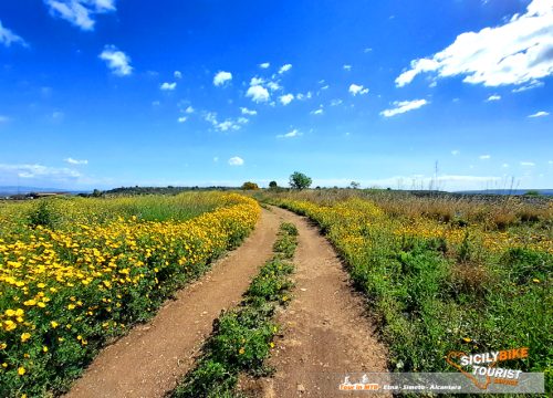 Cicloturismo Sicilia - Catania Bike Adventure - © Sicily Bike Tourist Service 02