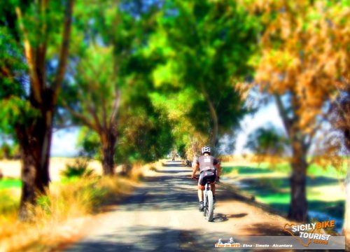 Cicloturismo Sicilia - Catania Bike Adventure - © Sicily Bike Tourist Service 04